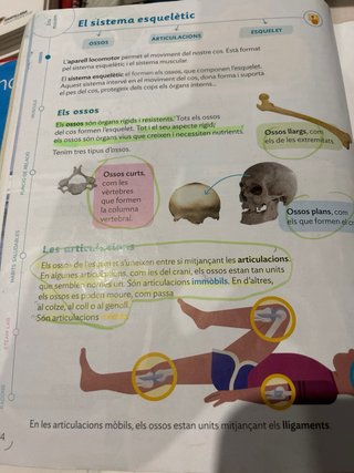 CONEIXEMENT DEL MEDI 4 PRIMARIA CONSTRUINT MONS
