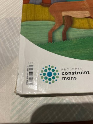 CONEIXEMENT DEL MEDI 4 PRIMARIA CONSTRUINT MONS