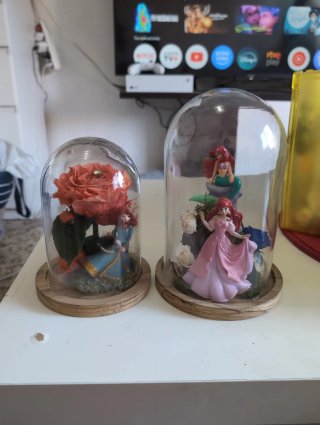 Arreglos Florales Ariel y Brave