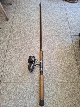 Caña S.I.R. Vintage + Carrete Mitchell 350