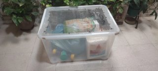 Caja de plástico para hámster/cobaya con accesorio