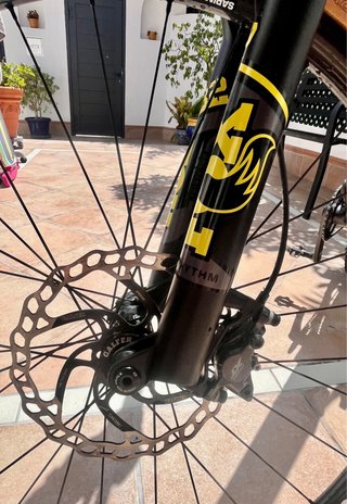 BH Lynx Race Carbon/ Sram GX AXS / Ruedas Carbono