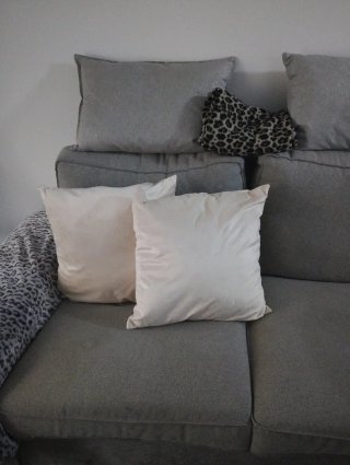 2 Cojines Decorativos
