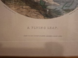 A Flying Leap
