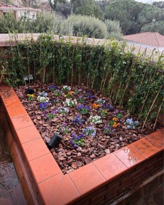 Jardinero oficial