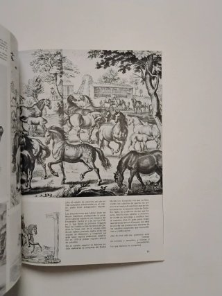 Lote 5 Revistas Reales Sitios, Revista del Patrimo