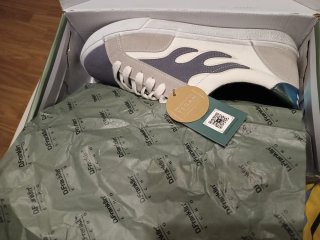 Zapatillas D.Franklin Novek Talla 45 Gris/Blanco