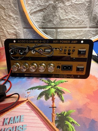 Amplificador HiFi AC/DC 12-24V Karaoke