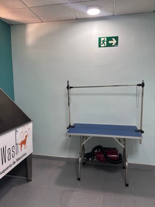 Negocio Autolavado de Mascotas PetWash