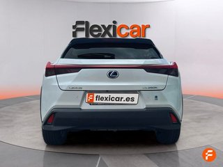 Lexus UX 2.0 250h Premium