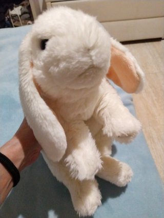 Conejo Belier Peluche Blanco