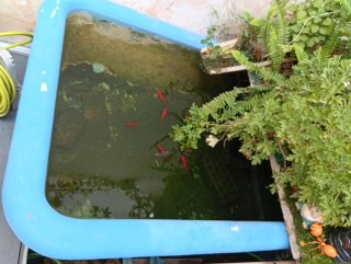 Estanque/Piscina Pequeña Azul 130 x 95 x 65