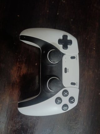 Mando de consola blanco y negro