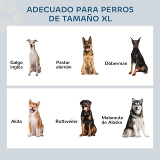 Comedero doble para perros