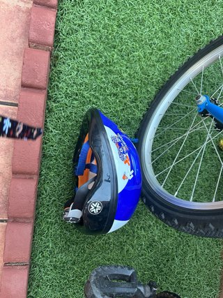 Bicicleta Infantil 20 Azul y Verde