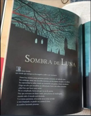 Álbum ilustrado El circo mágico