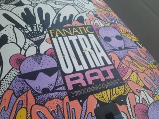 Tabla Fanatic Ultra Rat Windsurf