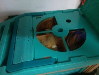 Little Live Pets Casa para Mascotas