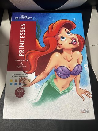 Hachette little heroes princesses disney
