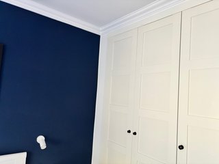 Pintor Professional.