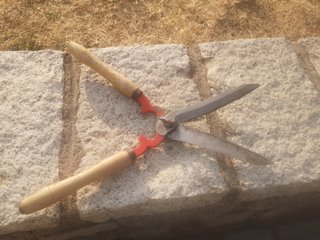 Tijeras de podar setos