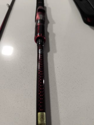 Daiwa Emeraldas Stoist AGS 84M 60th