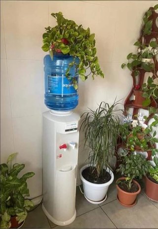 Dispensador agua + garrafa