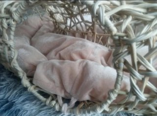 Cama Cueva para Gatos