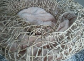 Cama Cueva para Gatos