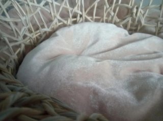 Cama Cueva para Gatos