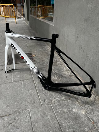 Cuadro De Rosa 838