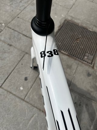 Cuadro De Rosa 838