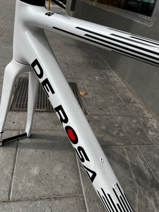 Cuadro De Rosa 838