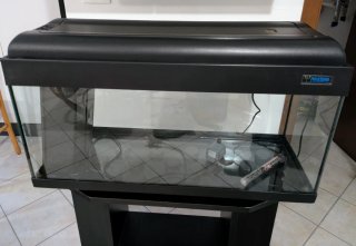 Acquario Poseidon 80L + Mobile e Accessori