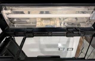 Acquario Poseidon 80L + Mobile e Accessori