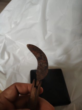 Podón antiguo para uvas