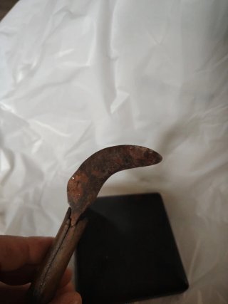 Podón antiguo para uvas