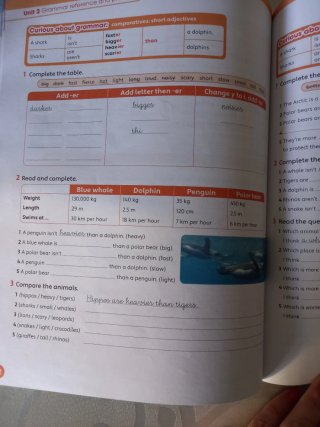 Activity Book Kids Can 5° primaria Inglés