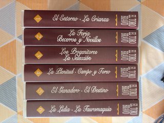 Colección 6 VHS El Toro Bravo  Completa