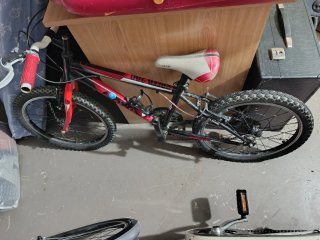 Bicicleta Infantil 20 Pulgadas