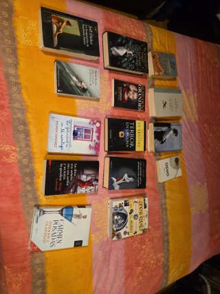 Lote de 14 libros