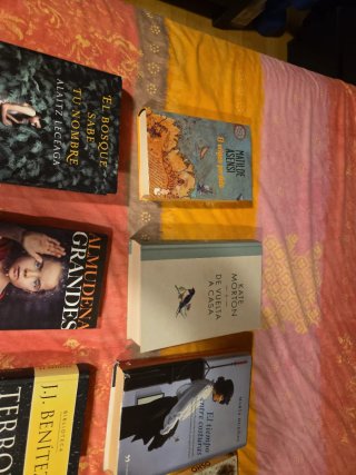 Lote de 14 libros