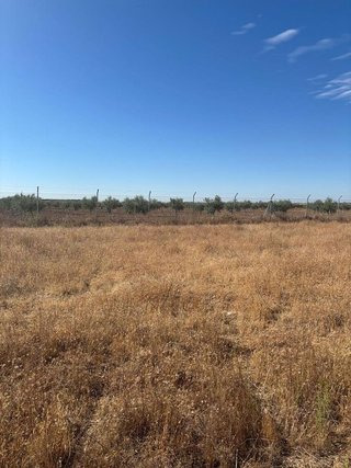 Terreno en venta en Puerta de Murcia - Colegios en Ocaña