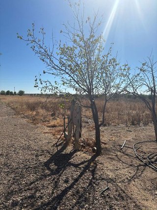 Terreno en venta en Puerta de Murcia - Colegios en Ocaña
