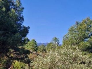 Terreno en venta en Jayena