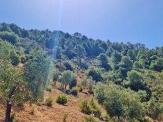 Terreno en venta en Jayena