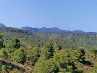 Terreno en venta en Jayena