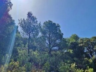 Terreno en venta en Jayena