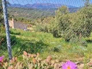 Terreno en venta en Jayena
