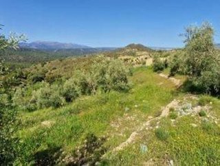 Terreno en venta en Jayena